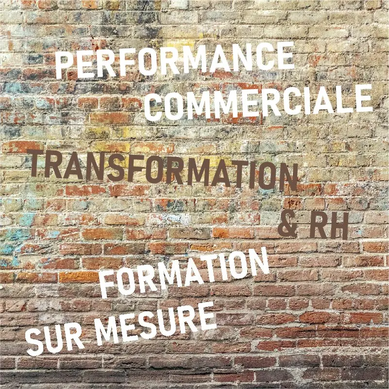 Image illustrant les domaines d’expertise de Dynamiz en conseil, formation, performance commerciale, transformation et gestion RH